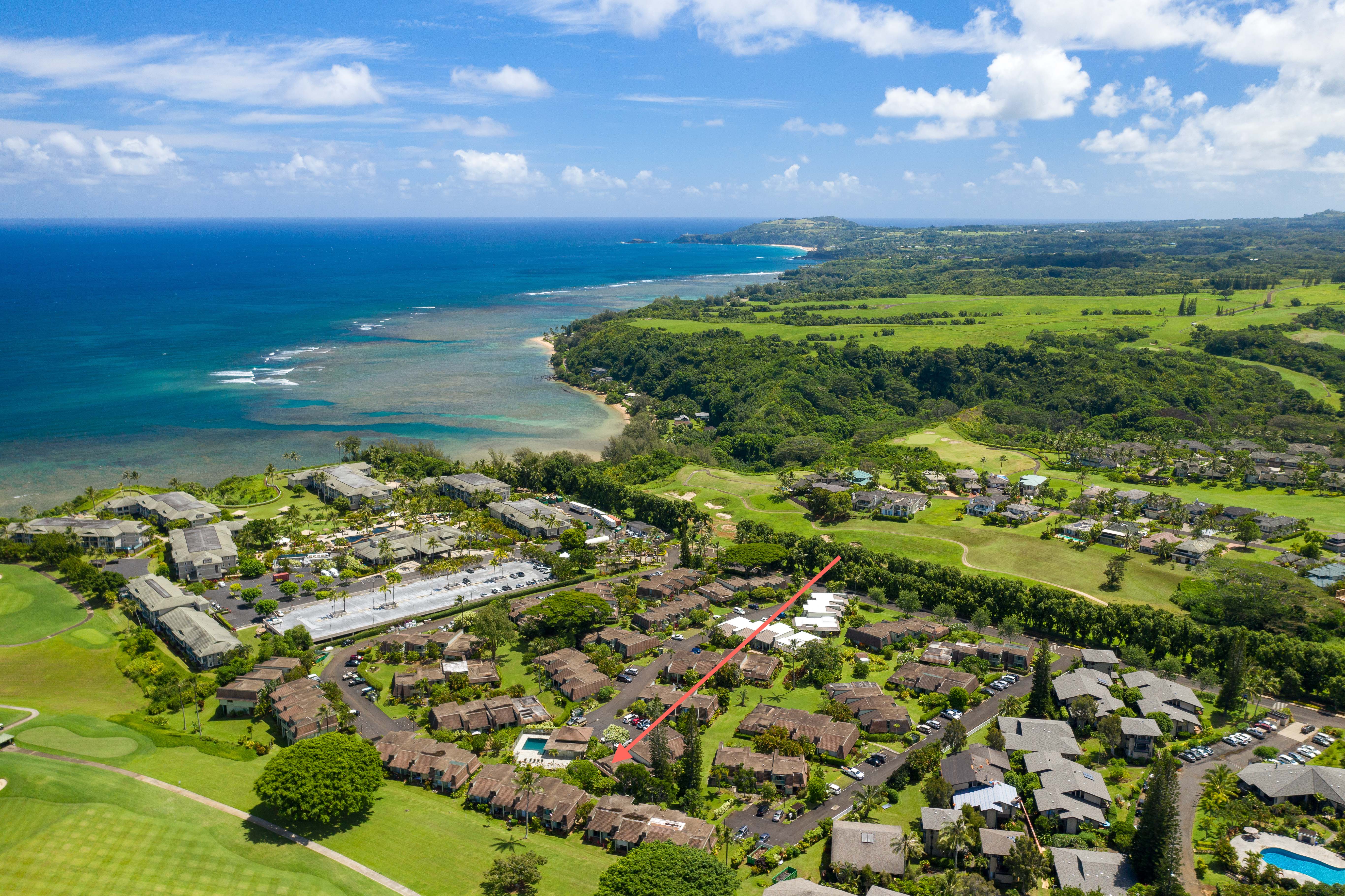 Princeville Condo 1001904