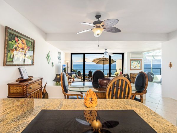 Princeville Condo 1001905