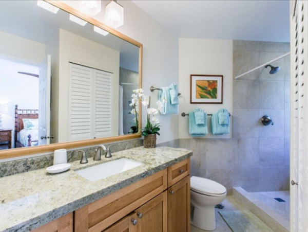 Princeville Condo 1001907