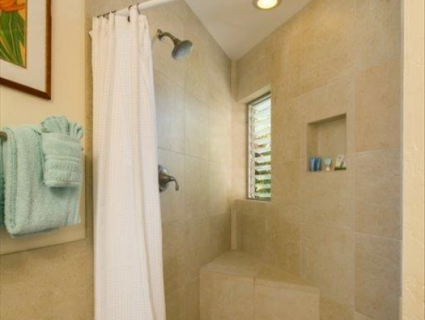 Princeville Condo 1001907
