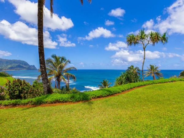 Princeville Condo 1001912