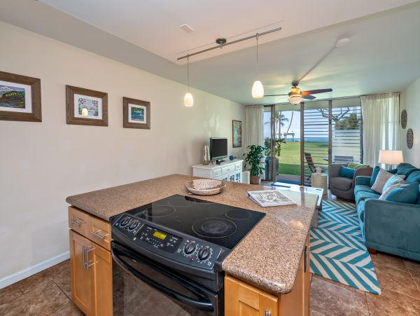 Northshore Oahu Condo 1001914