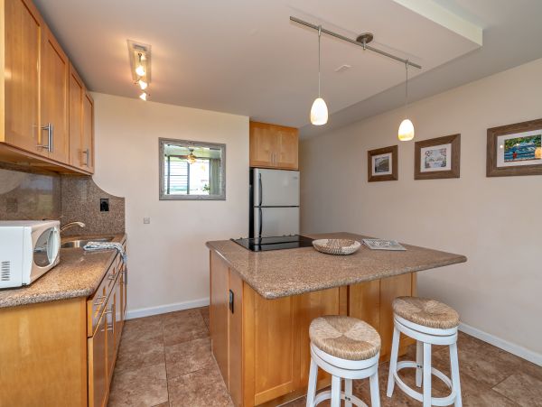 Northshore Oahu Condo 1001914