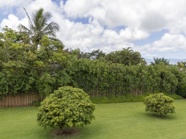 Charming North Shore Estate with Studio Apartment & Vintage Hawaiian Style