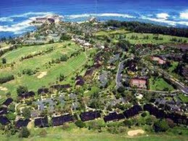 Northshore Oahu Condo 1001918