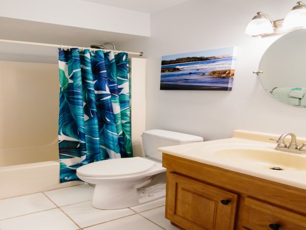 Northshore Oahu Condo 1001919