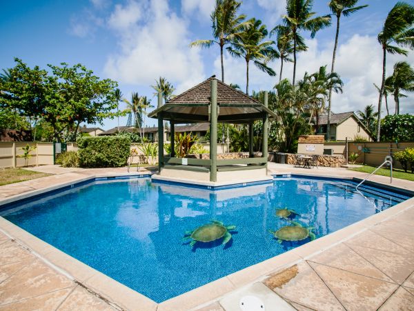 Northshore Oahu Condo 1001919