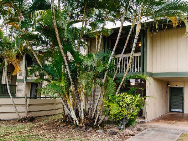 Northshore Oahu Condo 1001919