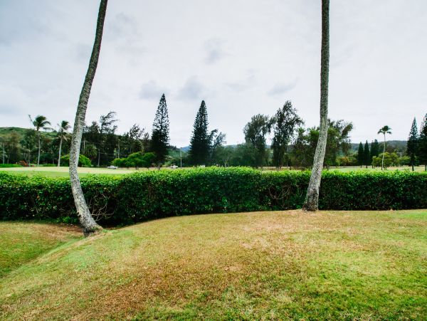 Northshore Oahu Condo 1001919
