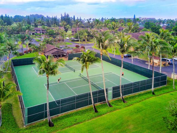Northshore Oahu Condo 1001919