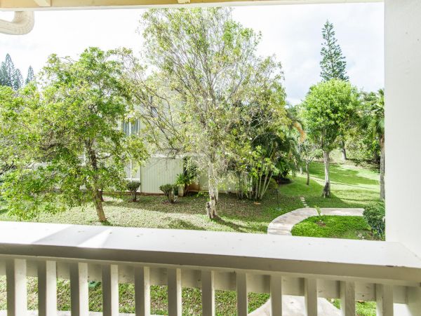 Northshore Oahu Condo 1001921