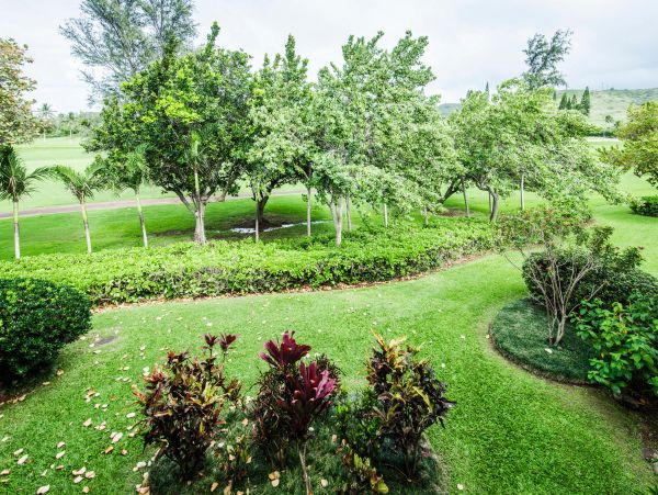 Northshore Oahu Condo 1001921