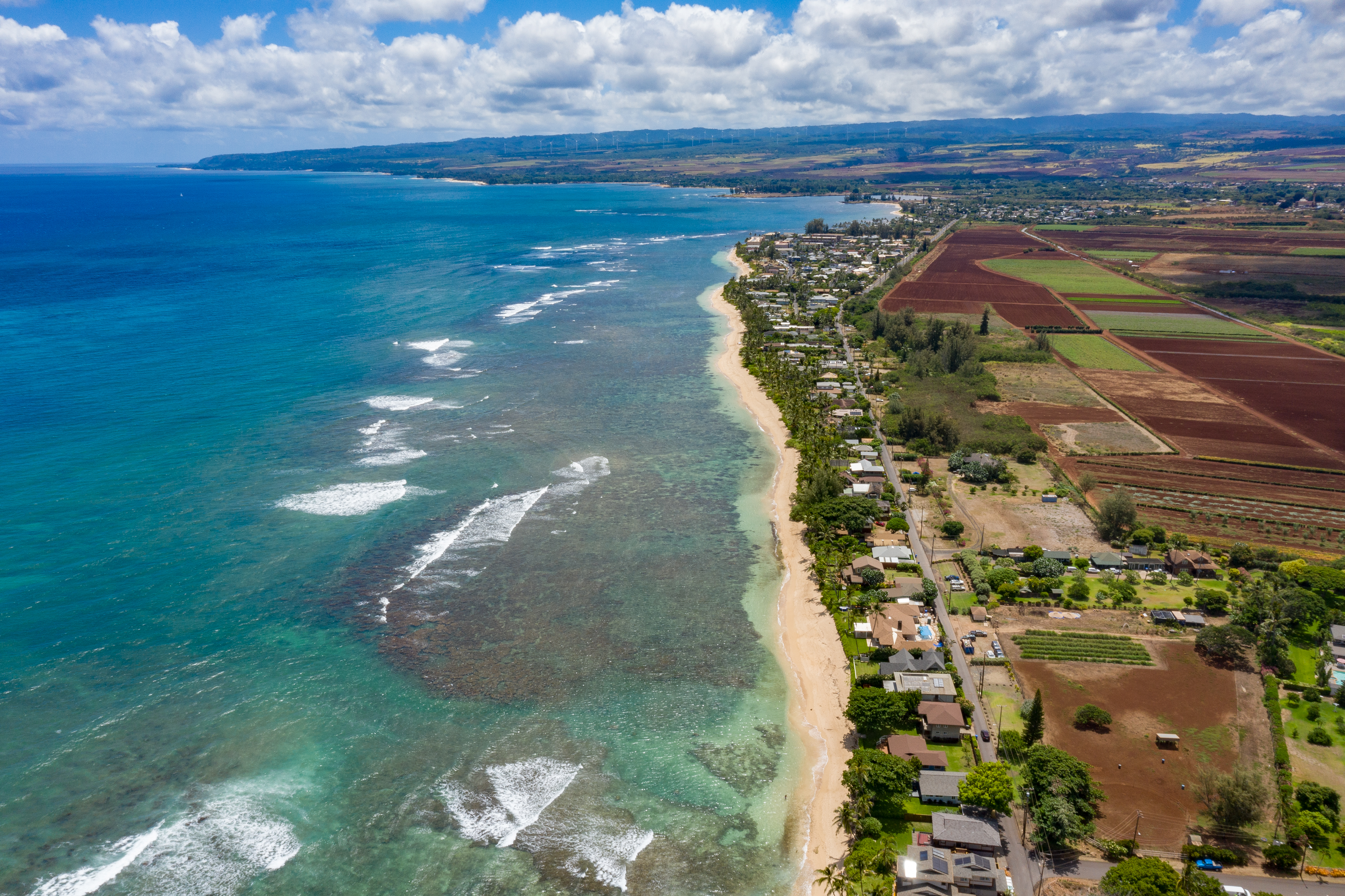 Northshore Oahu Home 1001924