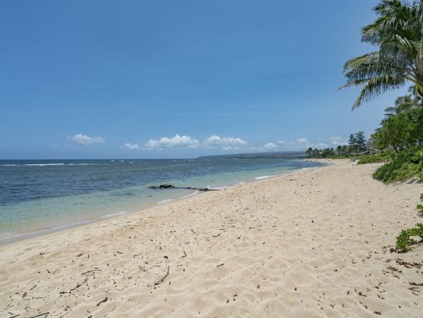 Northshore Oahu Home 1001925