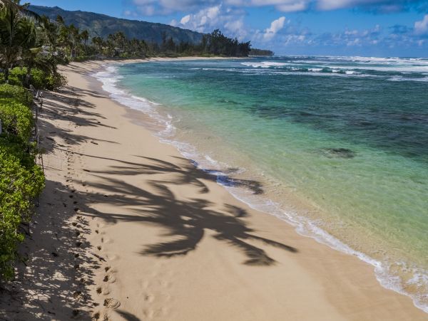 Northshore Oahu Home 1001927