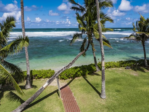 Northshore Oahu Home 1001927