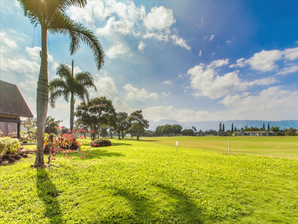 Princeville Home 1001932