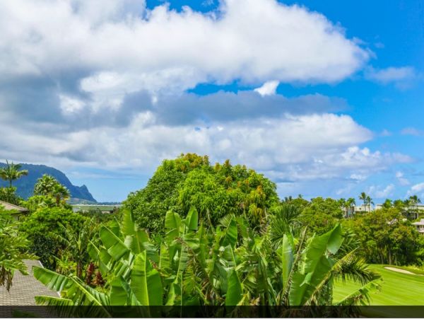 Princeville Home 1001935