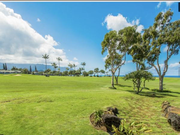 Princeville Home 1001947