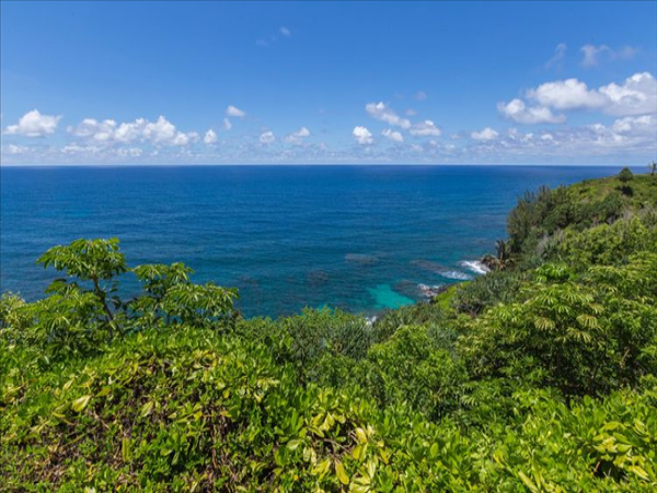Princeville Home 1001952