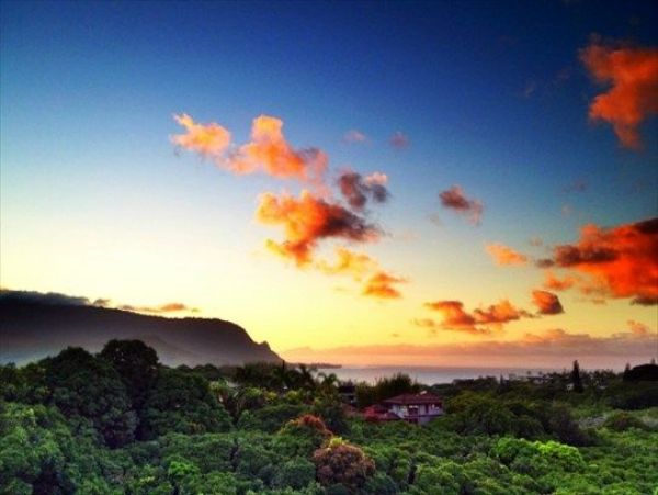 Princeville Home 1001955