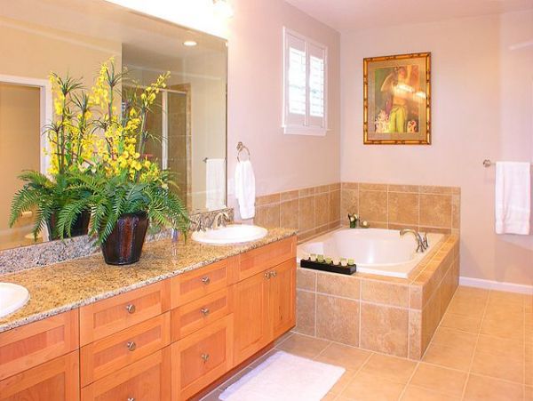Princeville Home 1001956