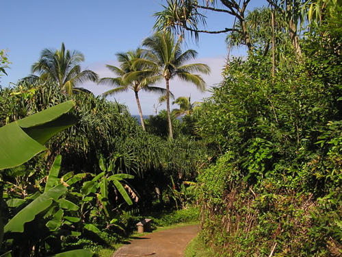 Princeville Home 1001957