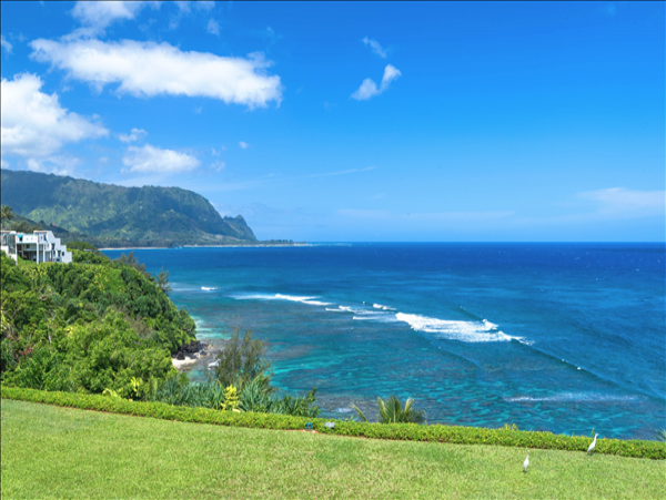 Princeville Home 1001962