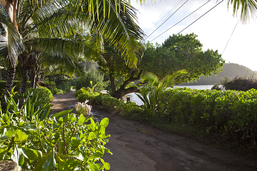 Princeville Home 1001989