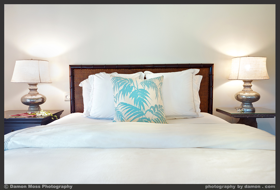 Princeville Home 1002001