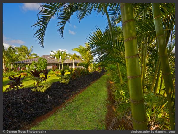 Princeville Home 1002001