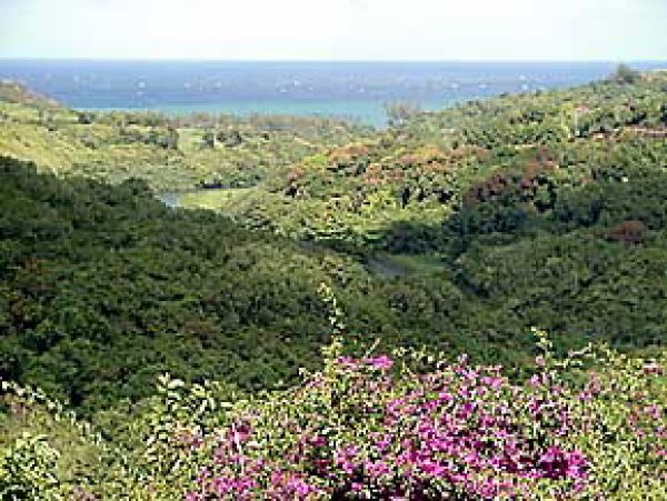 Princeville Home 1002002