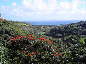 Princeville Home 1002002