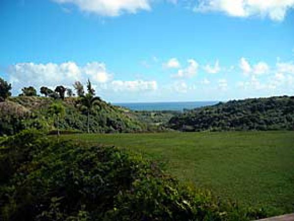 Princeville Home 1002002