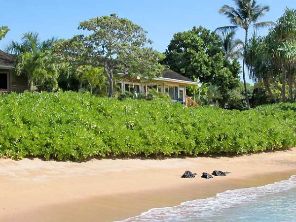 Koloapoipu Home 1002021