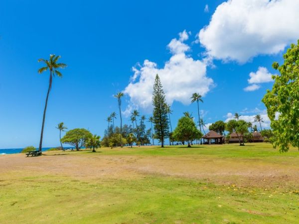 Koloapoipu Home 1002054