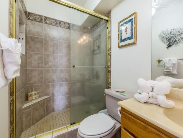 Koloapoipu Condo 1002059