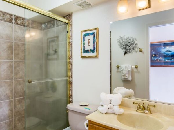 Koloapoipu Condo 1002059