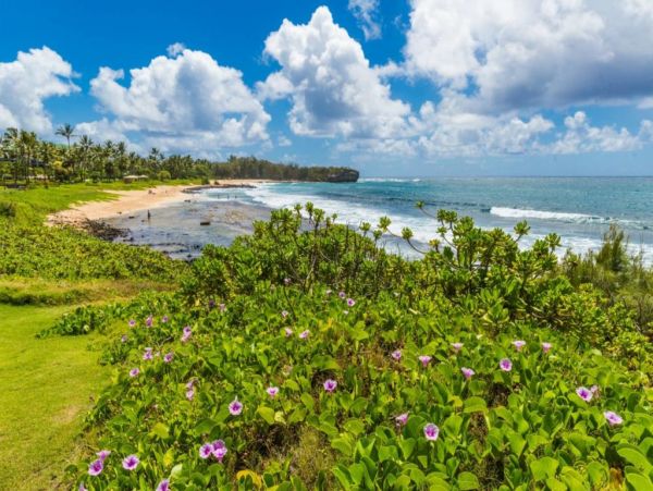 Koloapoipu Condo 1002073