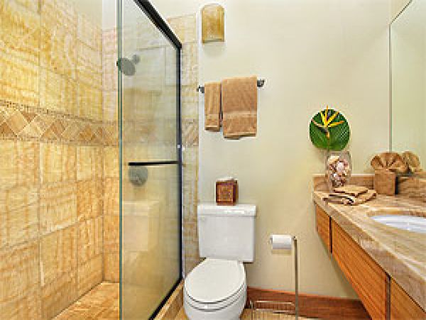 Koloapoipu Condo 1002078