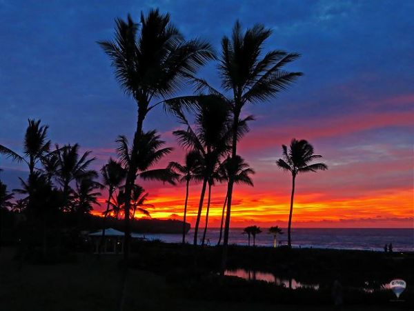 Koloapoipu Condo 1002083