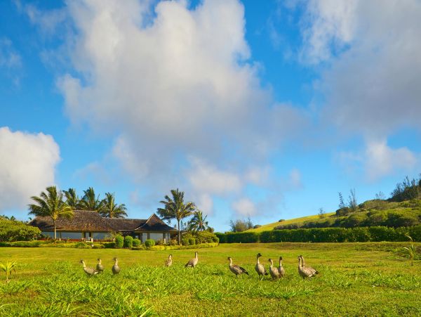 Princeville Home 1002140