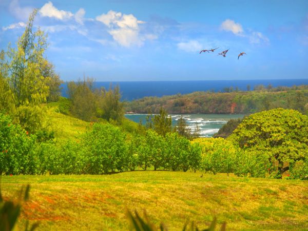Princeville Home 1002140