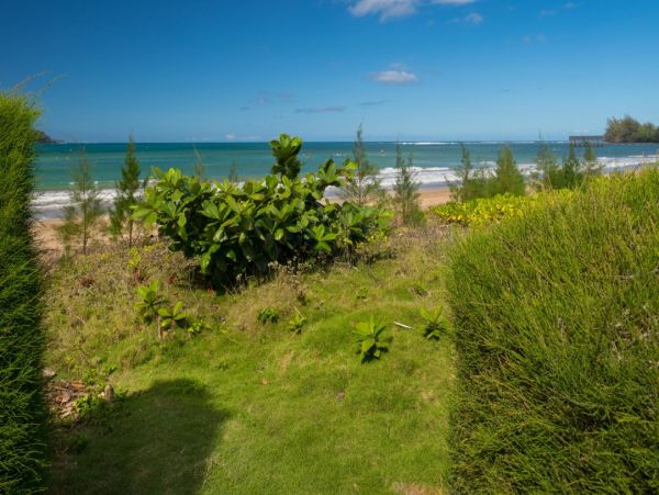 Hanalei Home 1002141