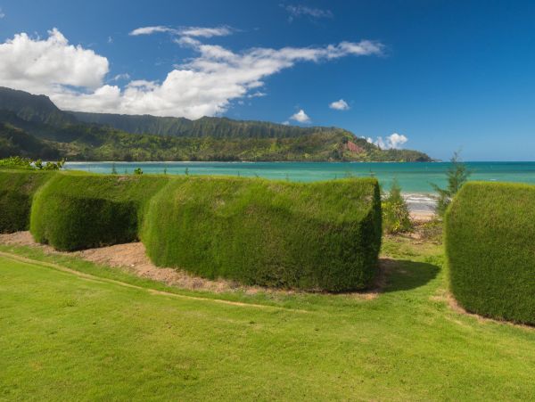 Hanalei Home 1002142