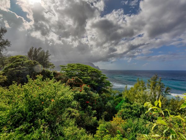 Princeville Home 1002148