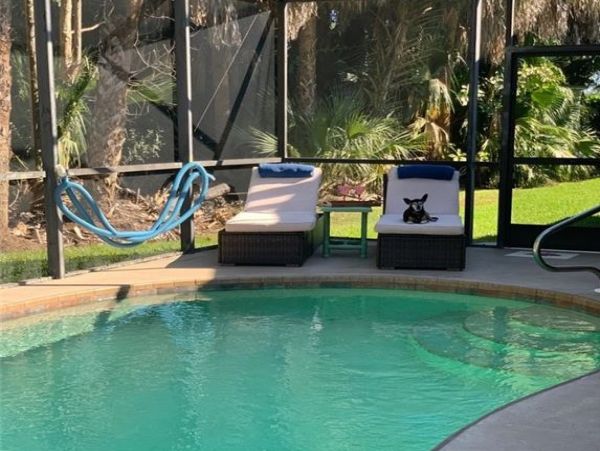 Three Bedroom Pool Vacation Home in Naples 3 Bedrooms