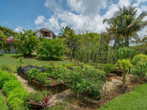 Jamaica Home 1002178