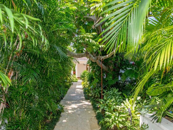 Jamaica Home 1002184