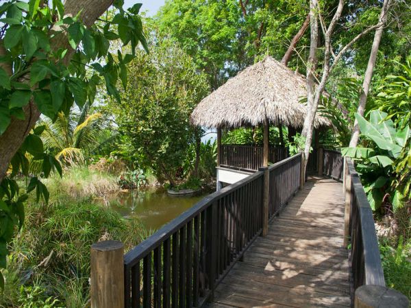 Jamaica Home 1002237